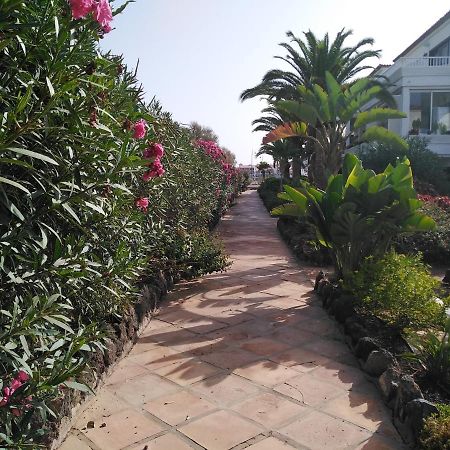 Apartamento La Palmera Amarilla Golf 圣米格尔德阿沃纳 外观 照片