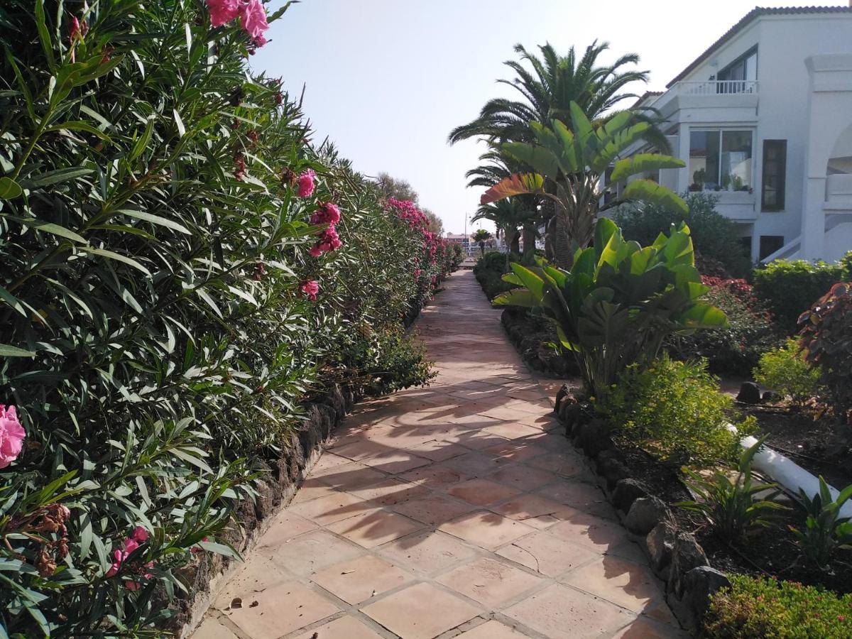 Apartamento La Palmera Amarilla Golf 圣米格尔德阿沃纳 外观 照片